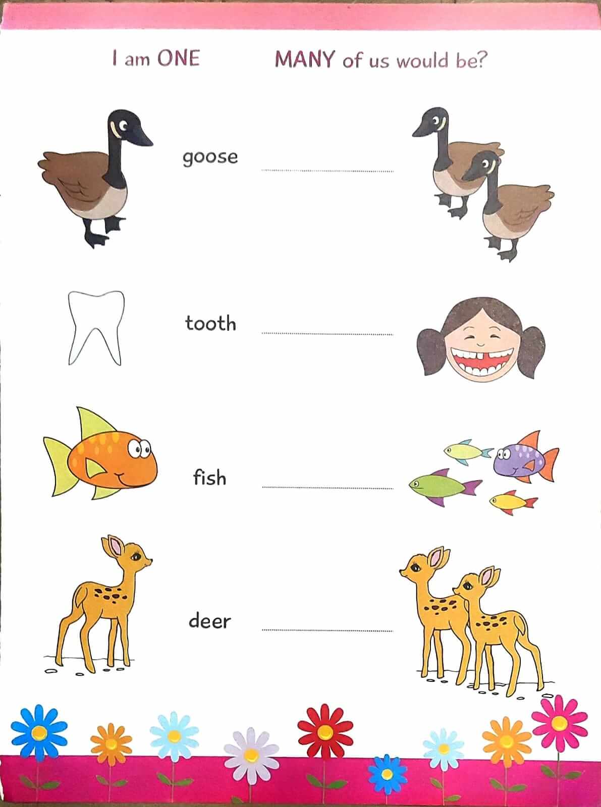 WhatsAppImage20241204at10_k2nju_1191